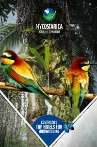 Costa Rica Birding Guide